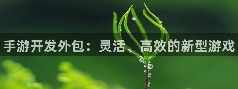 巅峰国际下载：手游开发外包：灵活、高效的新型游戏
