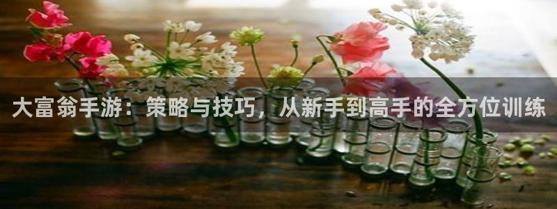 巅峰国际下载：大富翁手游：策略与技巧，从新手到高手的全方位训