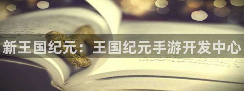 巅峰国际：新王国纪元：王国纪元手游开发中心
