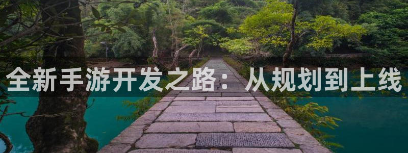 巅峰国际app：全新手游开发之路：从规划到上线
