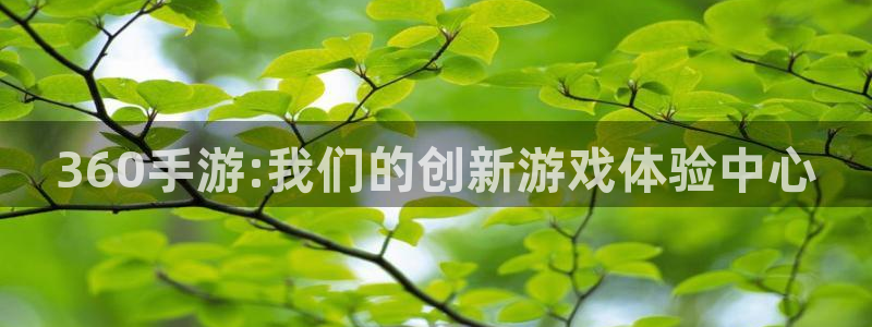 巅峰国际app：360手游:我们的创新游戏体验中心