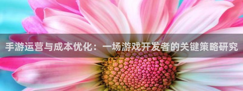巅峰国际登录：手游运营与成本优化：一场游戏开发者的关键策略研