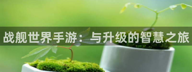巅峰国际官网：战舰世界手游：与升级的智慧之旅