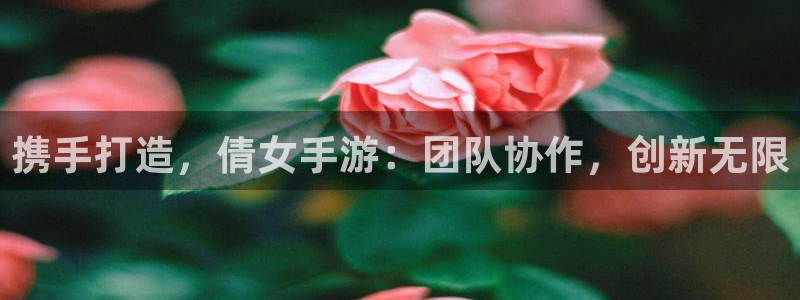 巅峰国际下载