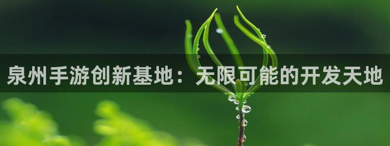 巅峰国际：泉州手游创新基地：无限可能的开发天地