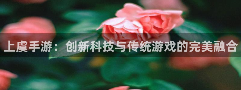 巅峰国际注册：上虞手游：创新科技与传统游戏的完美融合