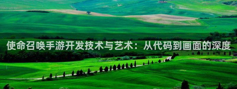 巅峰国际下载：使命召唤手游开发技术与艺术：从代码到画面的深度