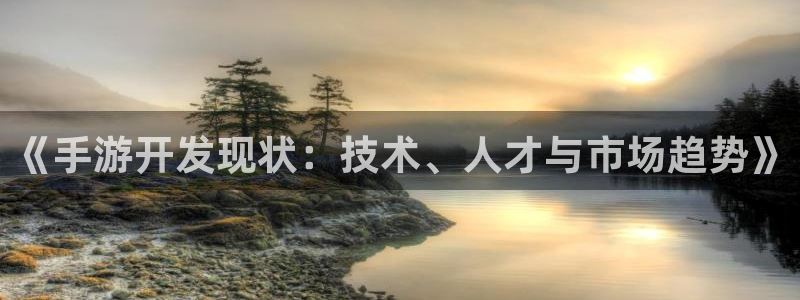 巅峰国际登陆：《手游开发现状：技术、人才与市场趋势》