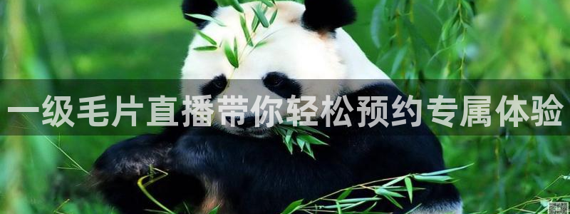51视频在线直播nba：一级毛片直播带你轻松预约专属体验