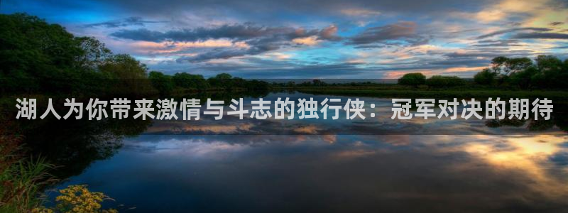 51视频在线直播nba：湖人为你带来激情与斗志的独行侠：冠军对决的期待