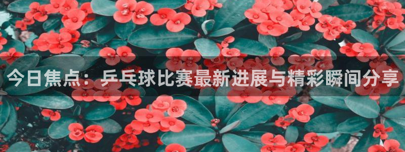 51视频在线直播nba：今日焦点：乒乓球比赛最新进展与精彩瞬间分享